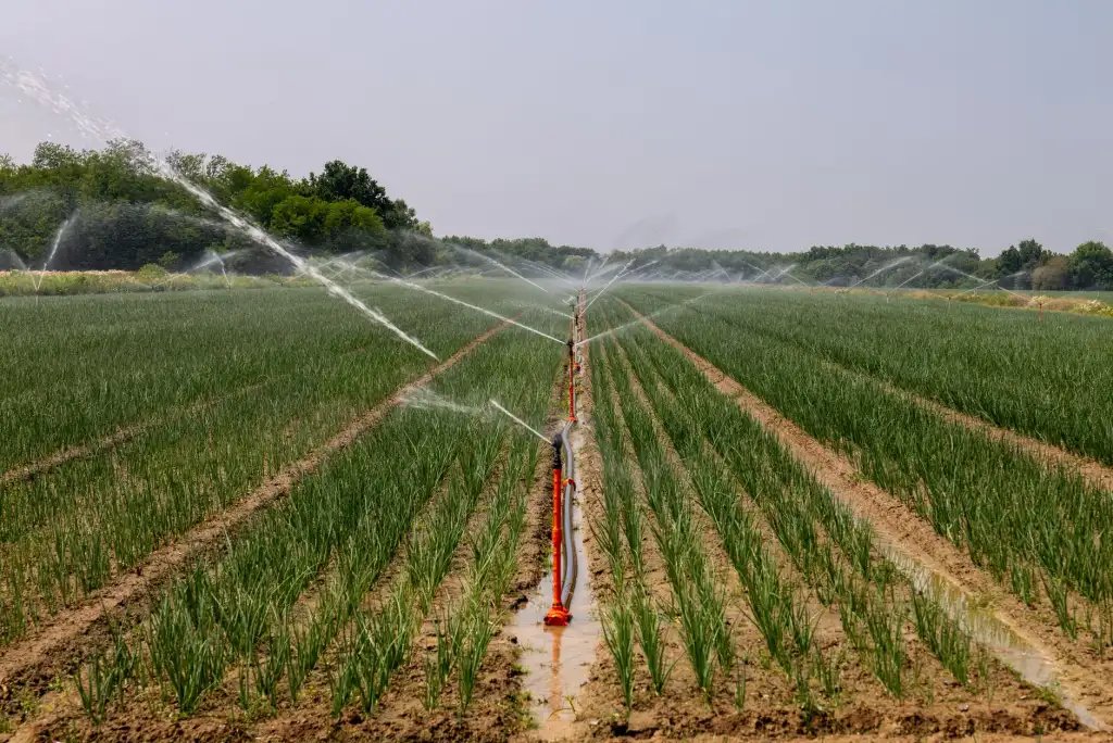 防水材料行业新标准对自粘卷材与APP防水卷材的影响分析