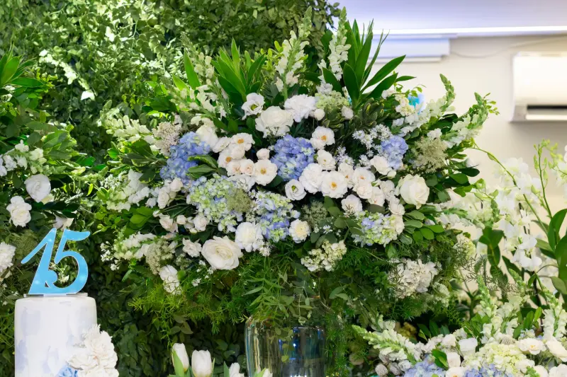河南四和顺SBS防水卷材与APP防水卷材性能差异对比分析