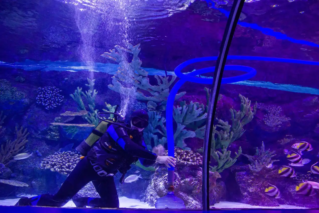 华中地区屋面防水工程中SBS与APP防水卷材的选型对比分析