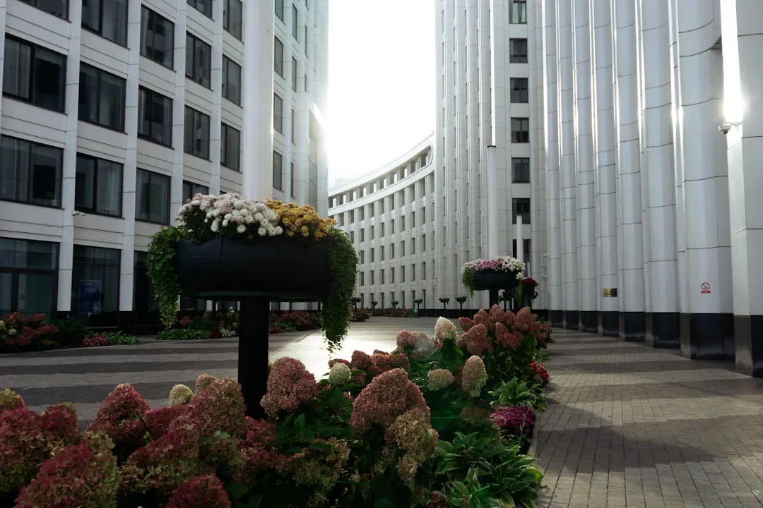 APP防水卷材与SBS防水卷材的性能对比及选型建议